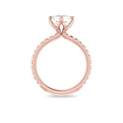 The VIV Ring