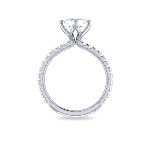 The VIV Ring