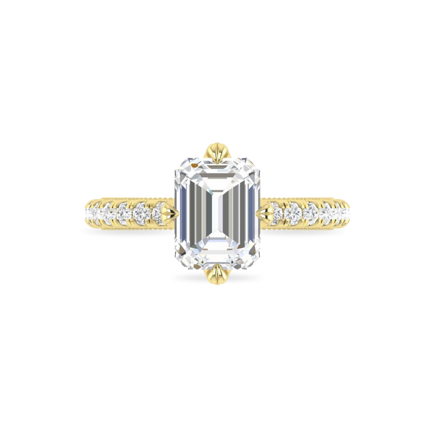 The VIV Ring