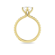 The VIV Ring