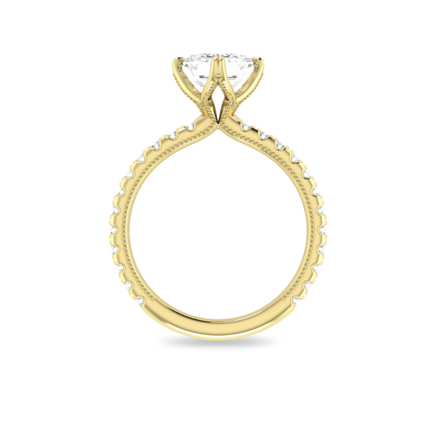 The VIV Ring