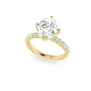 The VIV Ring