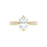 The VIV Ring