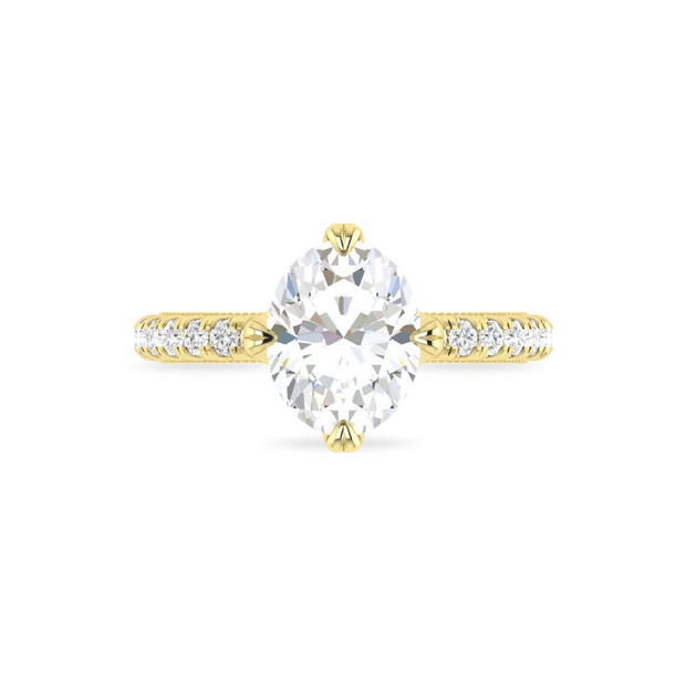 The VIV Ring