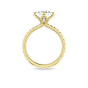The VIV Ring