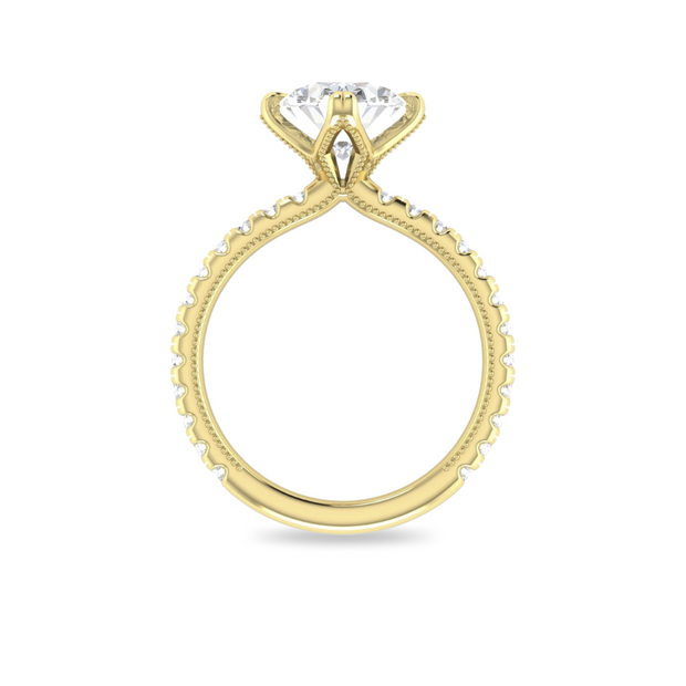 The VIV Ring