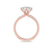 The VIV Ring