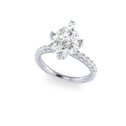 The VIV Ring