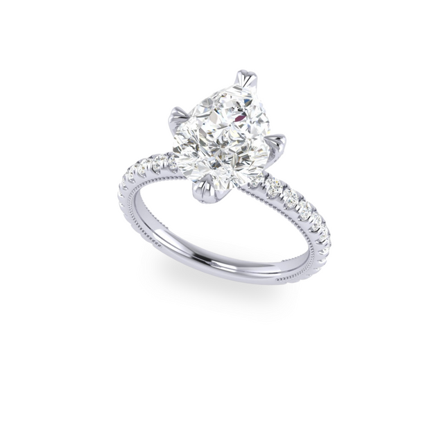 The VIV Ring