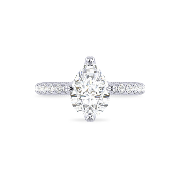 The VIV Ring