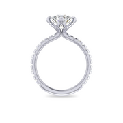 The VIV Ring