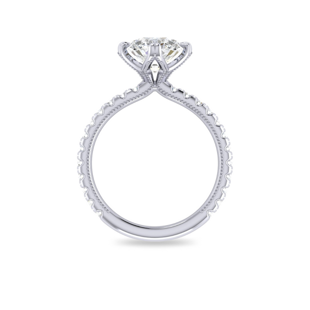 The VIV Ring
