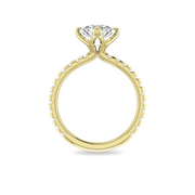 The VIV Ring