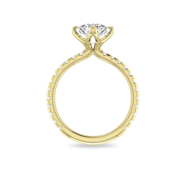 The VIV Ring