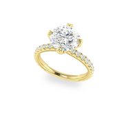 The VIV Ring