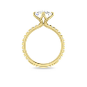 The VIV Ring